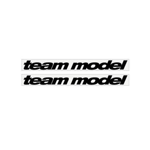1990 GT BMX - TEAM  MODEL - Black on Clear decals
