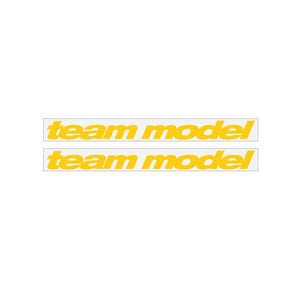 1990 GT BMX - TEAM  MODEL - Yellow on Clear decals