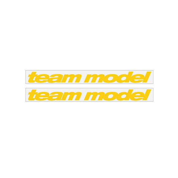 1990 GT BMX - TEAM  MODEL - Yellow on Clear decals