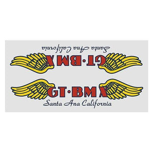 GT BMX Santa Ana large down tube  - clear