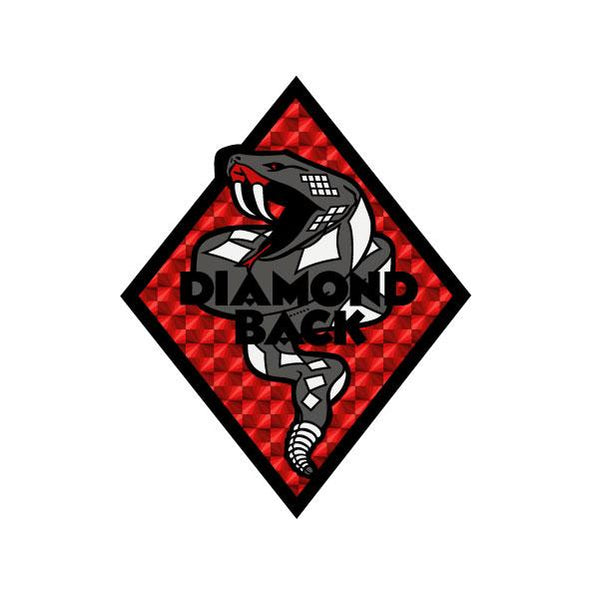 DiamondBack79-83HeadtubeRED-