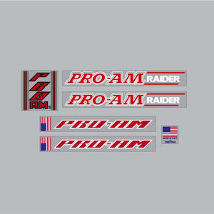 Panda - PRO-AM RAIDER - Black, Red & White on clear Decal set