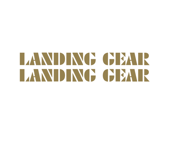 SE Racing - Landing Gear Fork Decal set - gold
