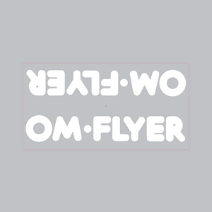 SE Racing - OM Flyer down tube decal - white